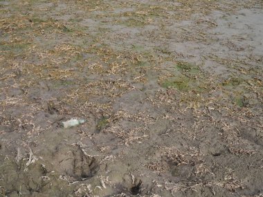 Kuru bir gölün dramatik manzarası. Büyük çatlaklarda kurumuş bir gölün dibi. Kavramsal olarak: Küresel Isınmanın Çevreyle İlgili Sorunları.