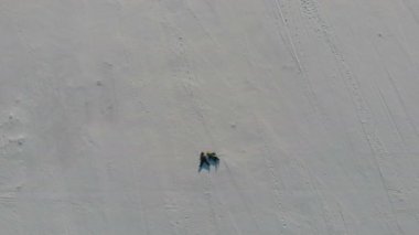 İki çocuk, haç şeklinde taze kar üzerinde yatan kar meleklerini tasvir ediyor. Mutlu ve enerjik, kar damlalarıyla.