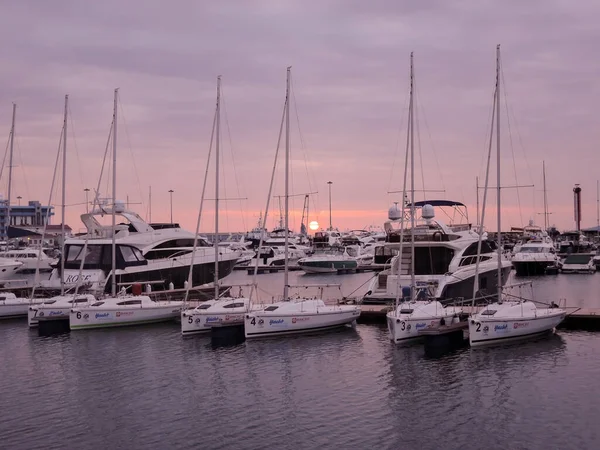 Rusia Sochi Junio 2016 Veleros Yates Atracados Puerto Marítimo Atardecer — Foto de Stock