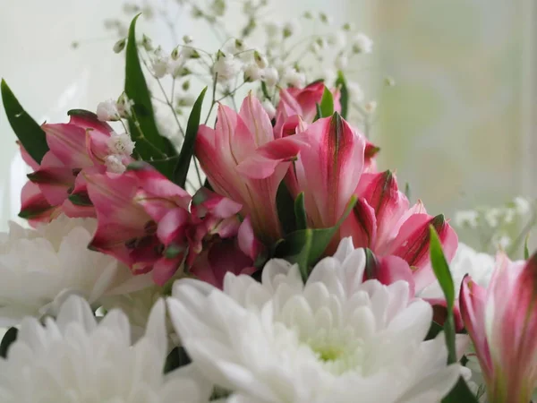 Alstroemeria Flor Primer Plano Luz Del Sol — Foto de Stock