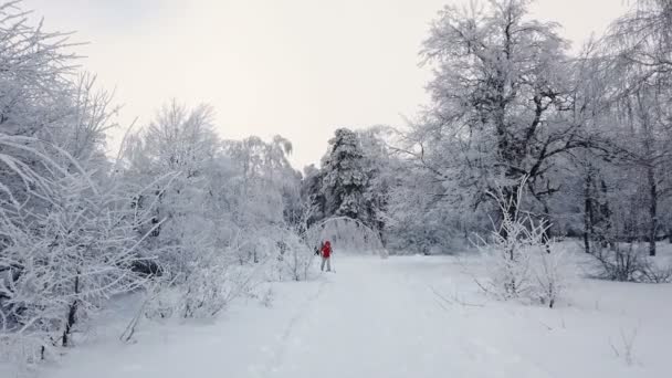 Rusia Saratov Feb 2021 Esquí Fondo Mujer Esquiadora Hace Ejercicio — Vídeos de Stock