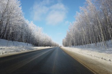 Kış manzarası Orman yolu.