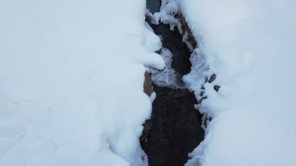 Pequeño arroyo fluye bajo el hielo, primer plano del río con hielo en primavera — Vídeos de Stock