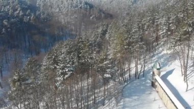 Hava manzaralı güzel kış ormanı, sabah