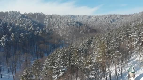 Vista aerea di bella foresta invernale, mattina — Video Stock