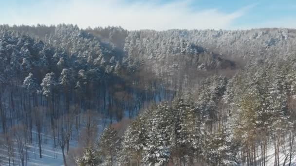 Vista aérea da bela floresta de inverno, manhã — Vídeo de Stock