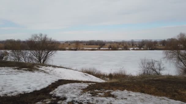Trockenes Schilf kauerte zur Winterzeit mit Schnee am Seeufer. — Stockvideo