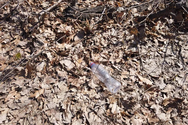 Відкинутий Пластиковий Смітник Лісі Лісі Торішніх Листках Лежить Пластикова Пляшка — стокове фото