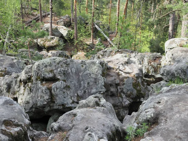 Zboczach Lasu Leżą Ogromne Głazy Pokryte Mchem — Zdjęcie stockowe