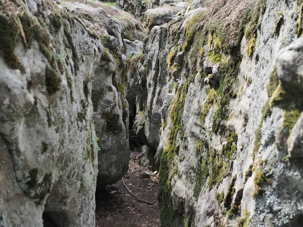 Huge Moss Covered Boulders Lie Slopes Forest Cleft Rocks — Stock Photo, Image