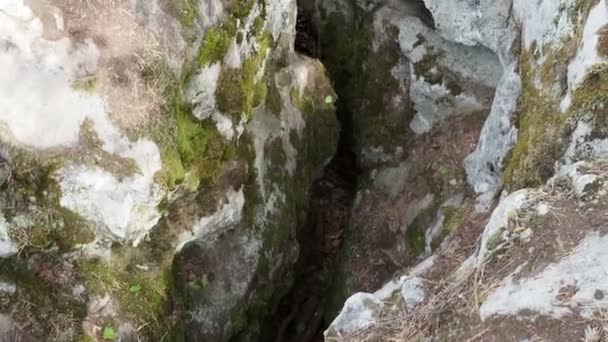 Pedras Cobertas Musgo Enormes Estão Nas Encostas Floresta Fendas Nas — Vídeo de Stock