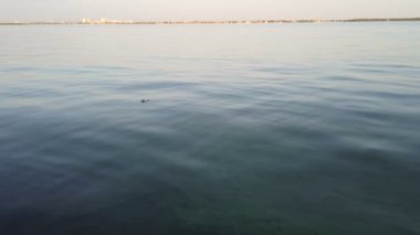 Su yüzeyinde yüzen plastik şişe kullanılmış. Geri dönüşüm sorunu