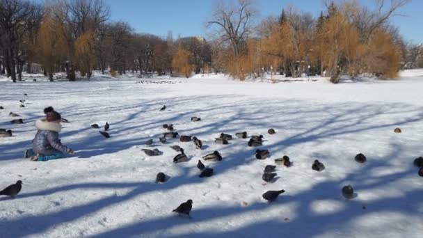 Teenager-Mädchen füttert Vögel im Park mit Enten und Tauben — Stockvideo