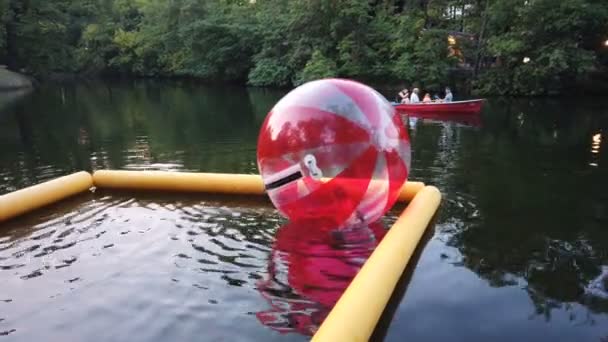 Rusia Saratov Julio 2021 Niños Pequeños Globo Inflable Divirtiéndose Agua — Vídeos de Stock