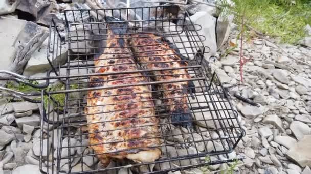 Poissons Grillés Dans Gril Qui Est Situé Sur Une Pile — Video