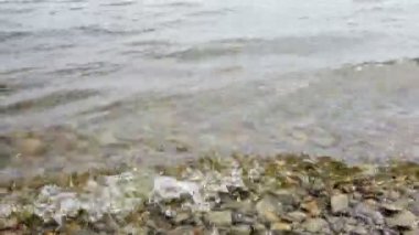 Şeffaf bir nehir suyunda dalgalanmalar. Nehir suyundaki çakıl taşları. Nehir kıyısındaki çakıl taşları. Kayalık deniz plajı