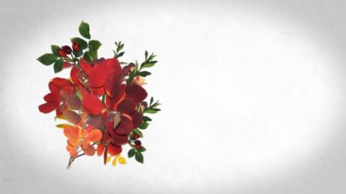 Sonbahar kırmızı ve sarı yapraklı çerçeve, canlandırma arkaplanı.