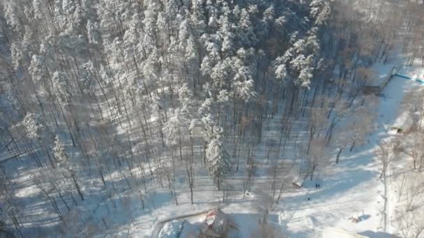 Aerial View Beautiful Winter Forest Morning — Stock Video