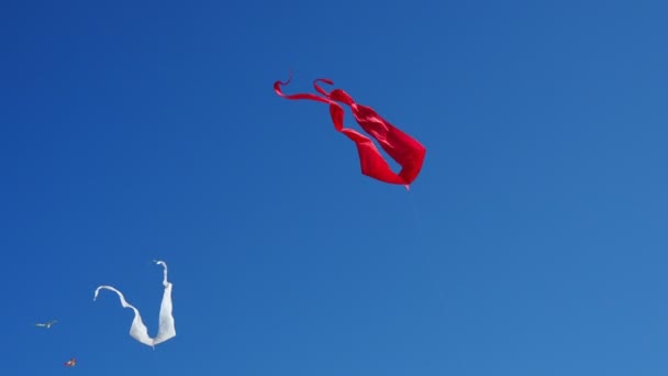 Big Flying Červené Bílé Draky Modrém Pozadí — Stock video