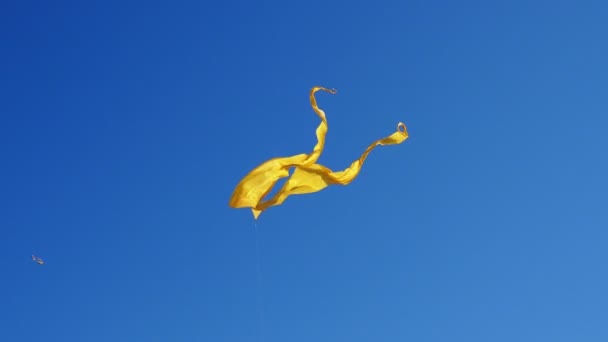 Великий Літаючий Жовтий Укус Синьому Фоні — стокове відео