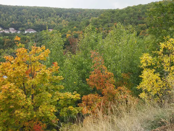 Paisagem Com Floresta Colorida Início Outono — Fotografia de Stock