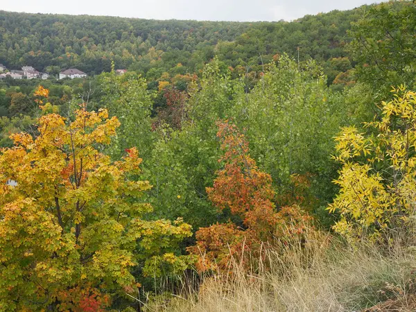 Paisaje Con Bosque Colorido Principios Otoño — Foto de Stock