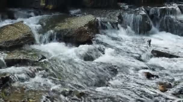 Каскад Небольших Водопадов Горной Реки Среди Валунов Вода Размыта Движении — стоковое видео