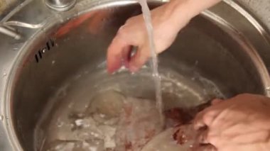 Erkekler lavabodaki tıkanıklığı deniz ürünlerinden temizler. Mürekkep balığı derisi. Eller su altında mürekkep balığını yıkayıp temizler..