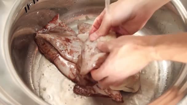 Les hommes se lavent les mains et nettoient les calmars sous l'eau courante. Préparation des fruits de mer pour la cuisson. — Video