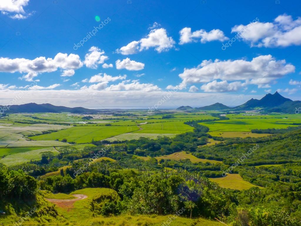 Domaine De L'Etoile Stock Photo by ©nicousnake 107932672