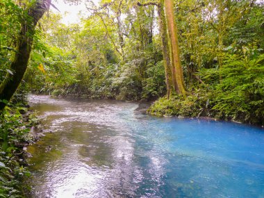 Rio Celeste Tenorio Volkanı Milli Parkı içinde