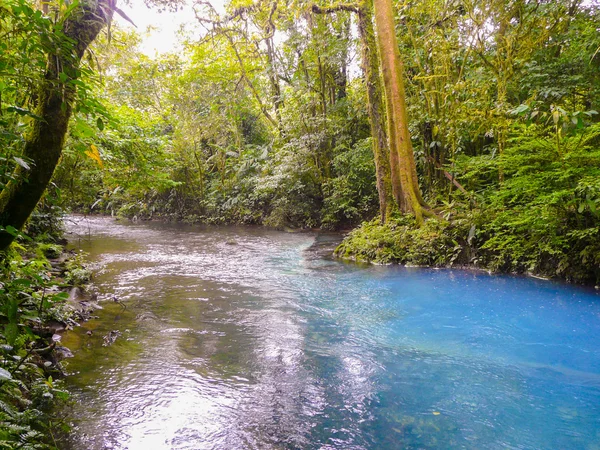 Rio Celeste Tenorio Volkanı Milli Parkı içinde — Stok fotoğraf