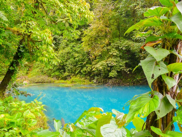 Río Celeste en el Parque Nacional Volcán Tenorio —  Fotos de Stock