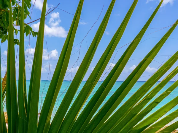 Stranden bayahibe, Dominikanska Republiken — Stockfoto