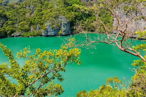 Parc marin national d'Angthong — Photo