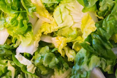 taze marul salatası