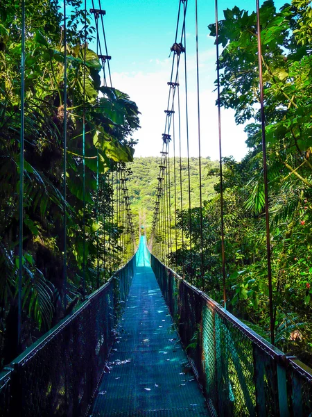 Puente colgante —  Fotos de Stock