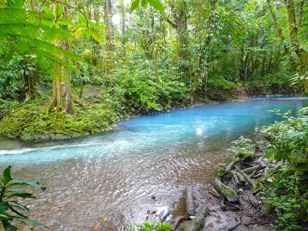 Rio Celeste — Stockfoto