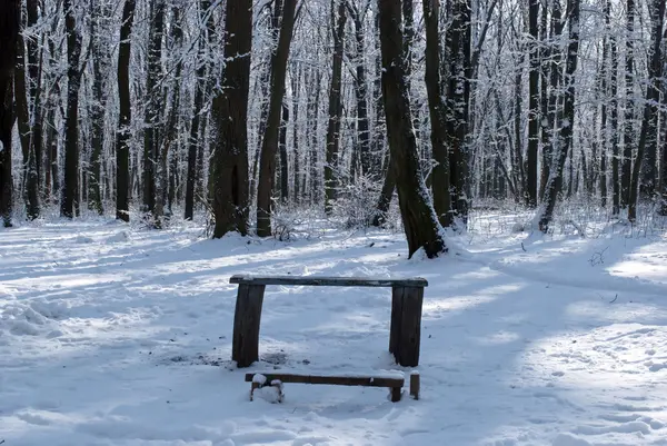 Benches for rest — Stock Photo, Image