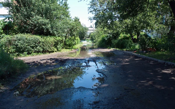 Bomen Plas — Stockfoto