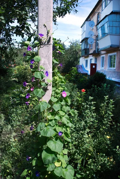 Betonpfahl — Stockfoto