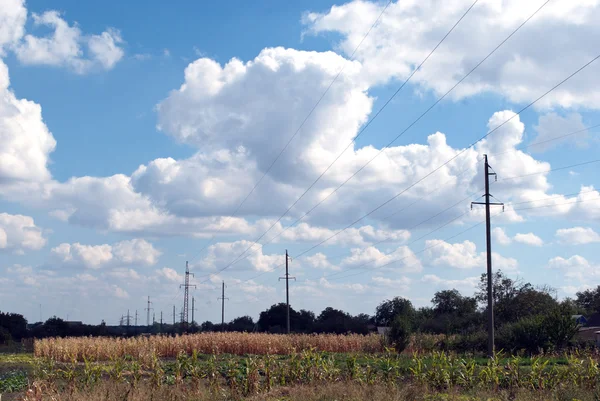 Elektromos lengyelek — Stock Fotó