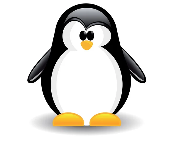 Web kamera bilgisayarınıza