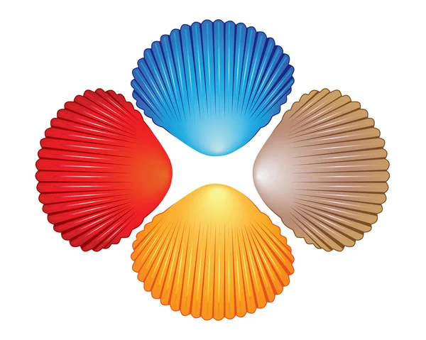 Four different colored seashells — Stock Vector