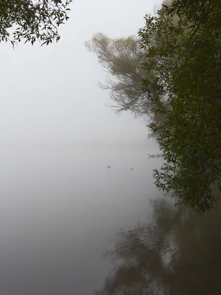 Mlha na jezero ráno — Stock fotografie