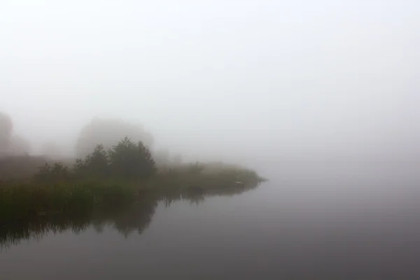 Der Nebel auf dem See — Stockfoto