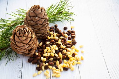 Bir kaşıkta soyulmuş sedir fıstığı çekirdekleri, iki kozalak, yeşil dallar ve kabuktaki fındıklar koyu ahşap bir tahtaya karşı