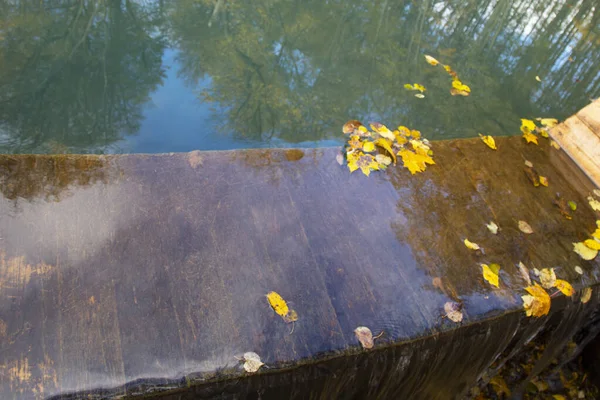 Kleurrijk Blad Drijvend Het Donkere Vallende Water Met Reflectie Van — Stockfoto