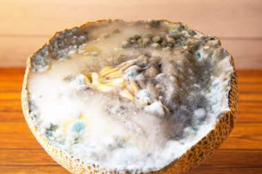 Kavun üzerinde mavi ve siyah küf. Bozuk yemek. Zehirli meyve. Tam çerçeve