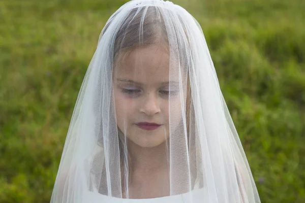 Beautiful Gentle Girl Bride Veil Background Field Grass Summer Day — Stock Photo, Image